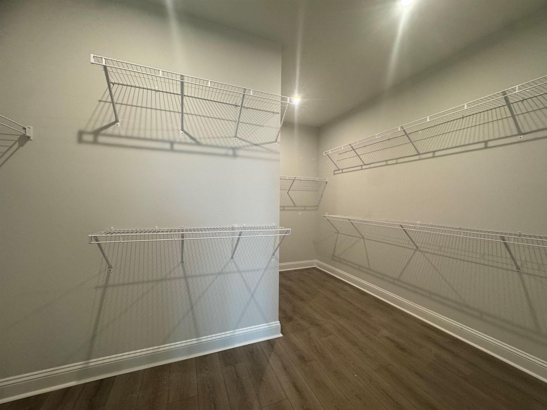 1509 Crested Iris Way Photo 12