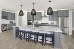 1509 Crested Iris Way photo 4