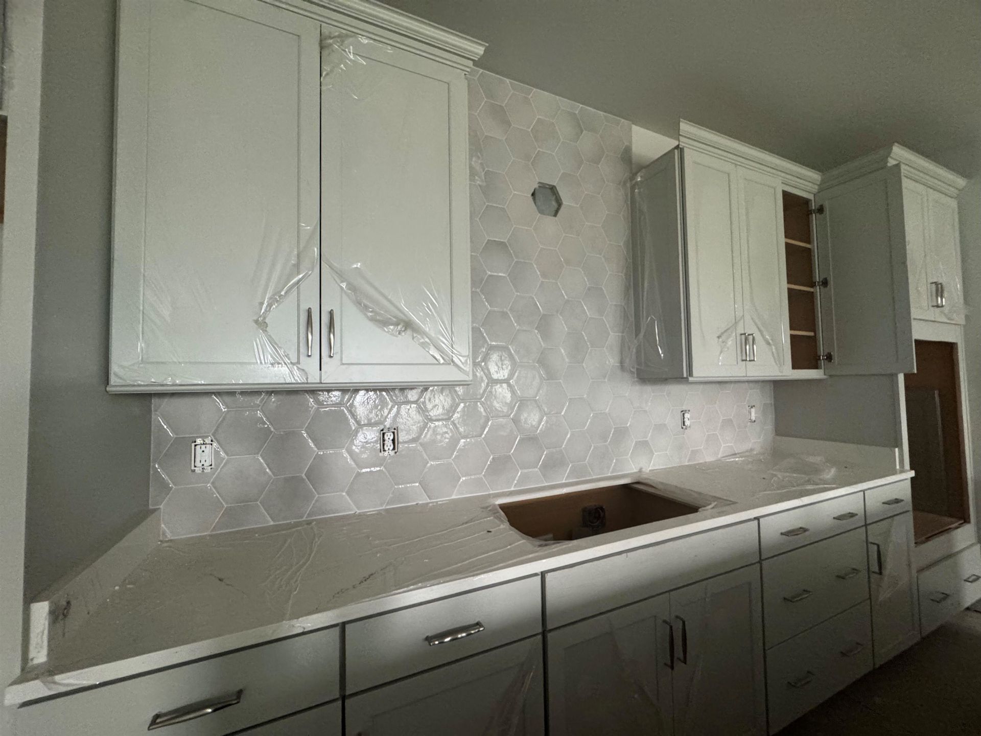 1509 Crested Iris Way Photo 5