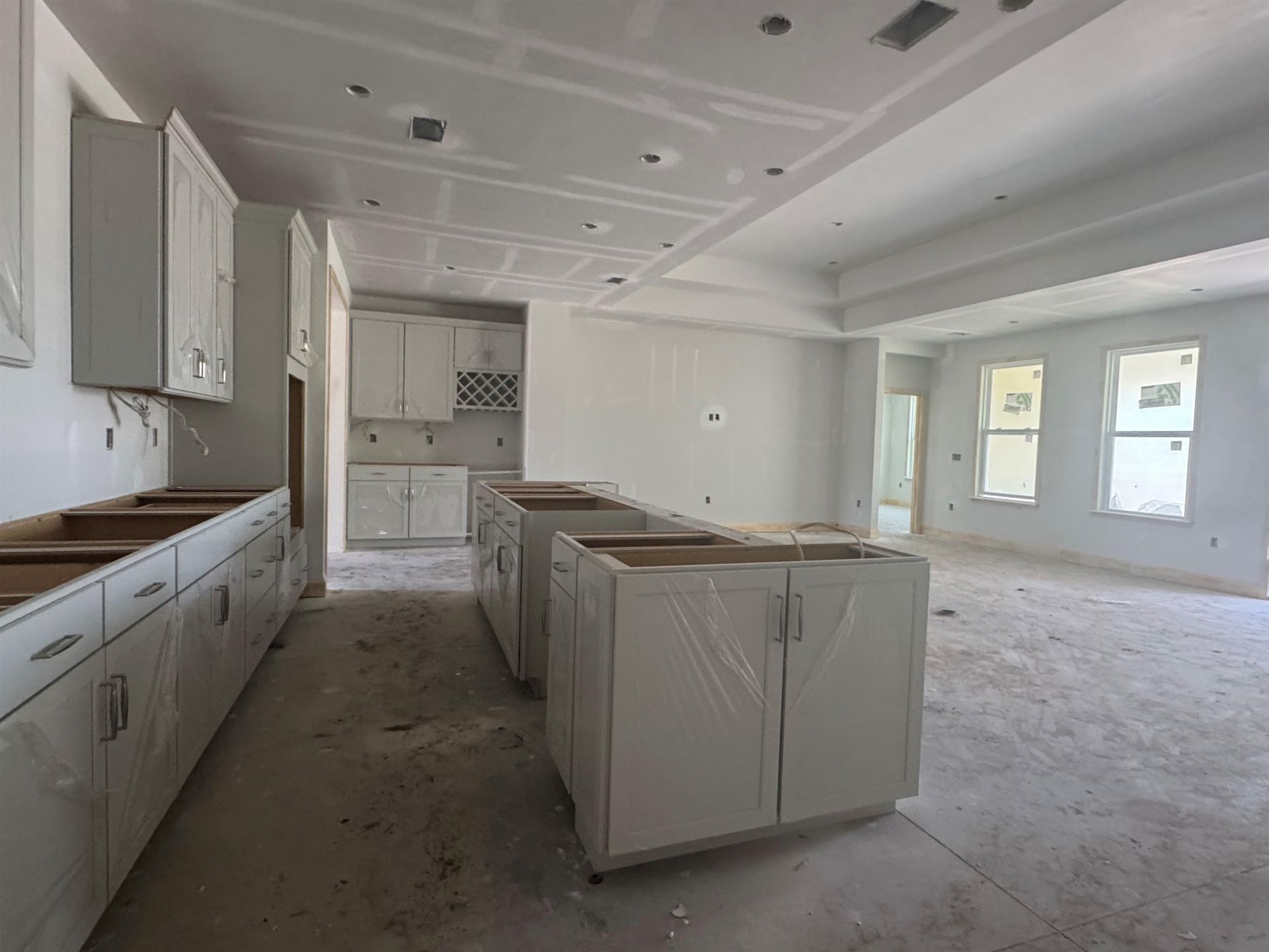 1509 Crested Iris Way Photo 7