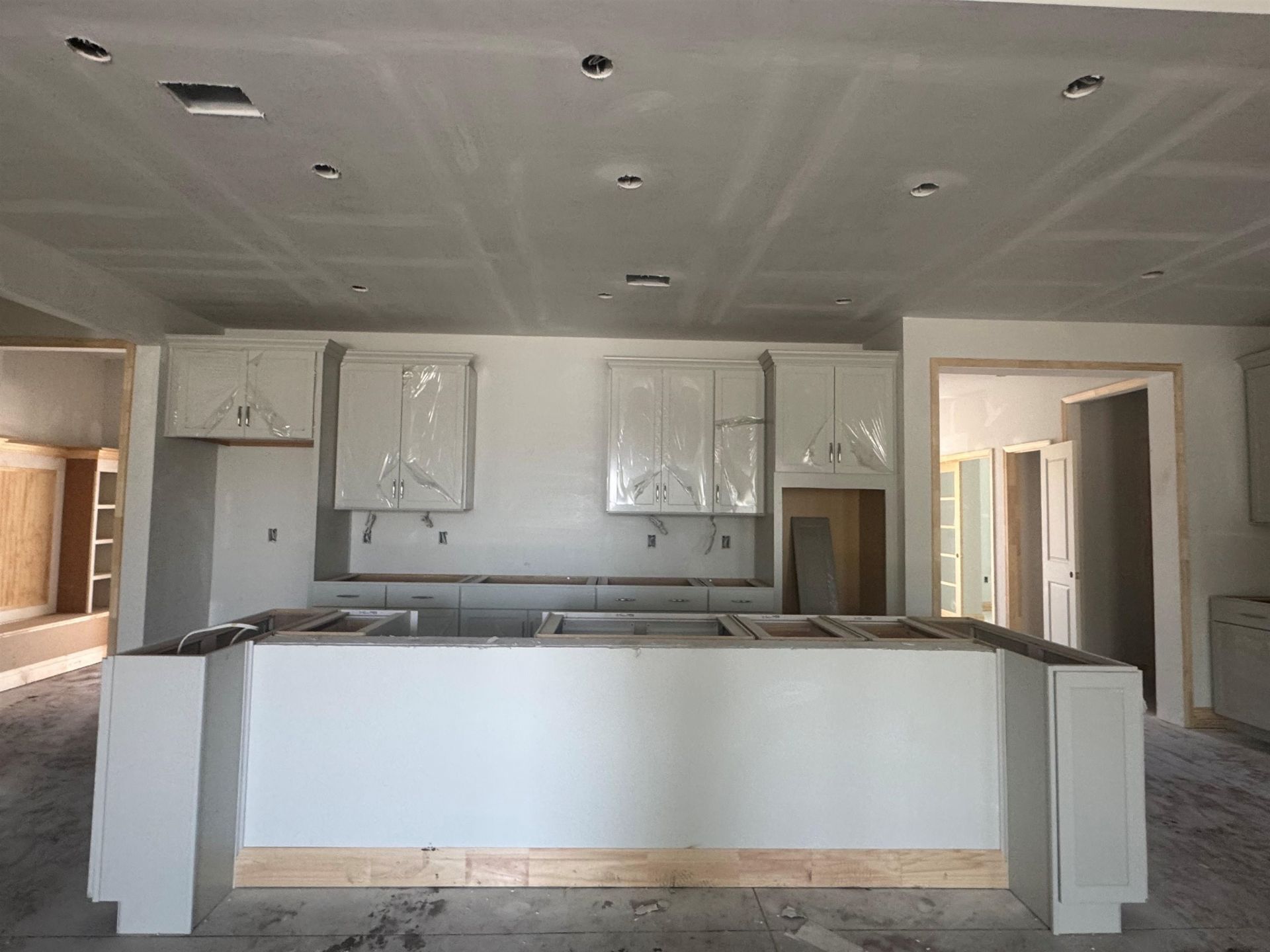 1509 Crested Iris Way Photo 8