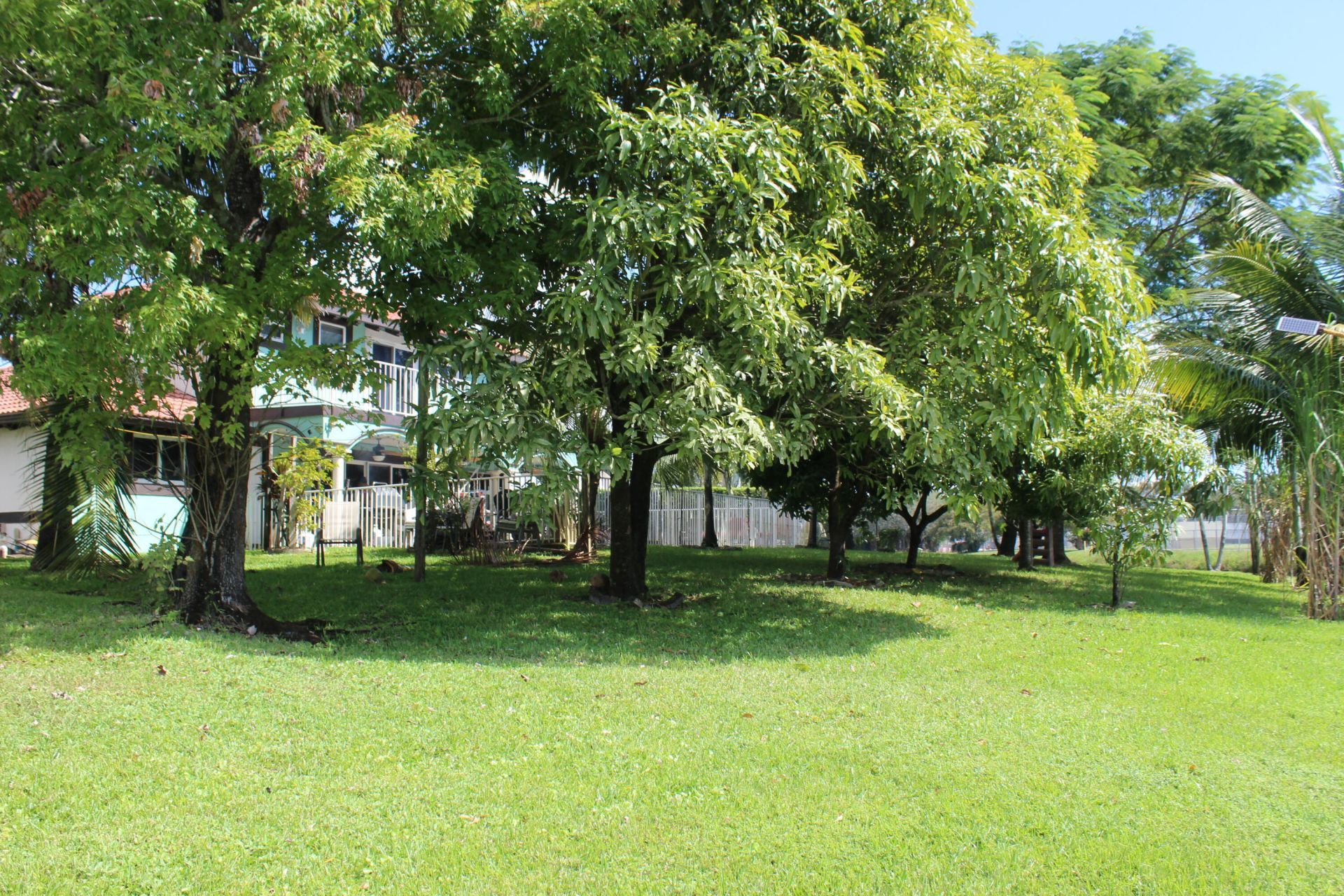 13847 Geranium Place, Wellington, FL 33414 Photo