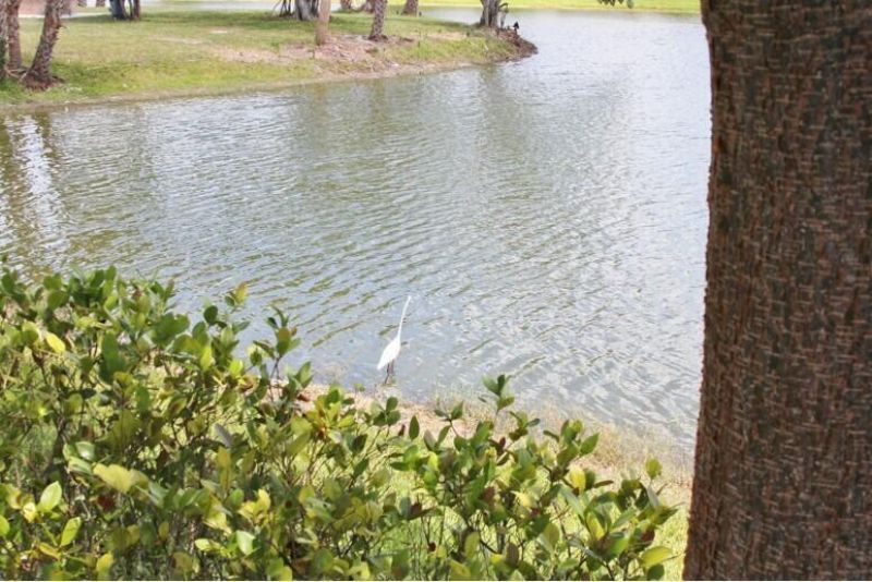 259 Sheffield K, Unit 259, West Palm Beach, FL 33417 Photo