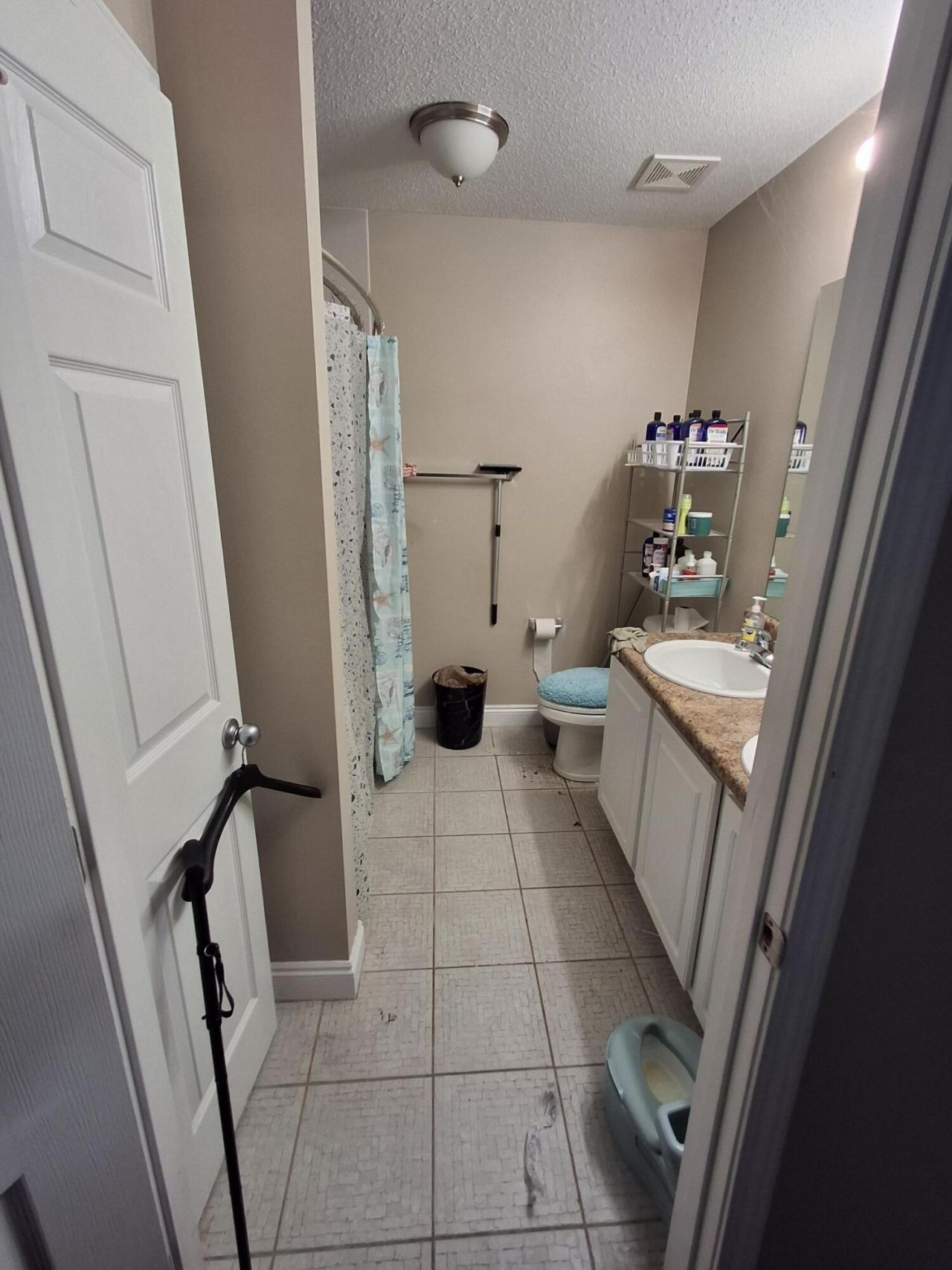 6018 Montgomery Avenue, Pensacola, FL 32526 Photo