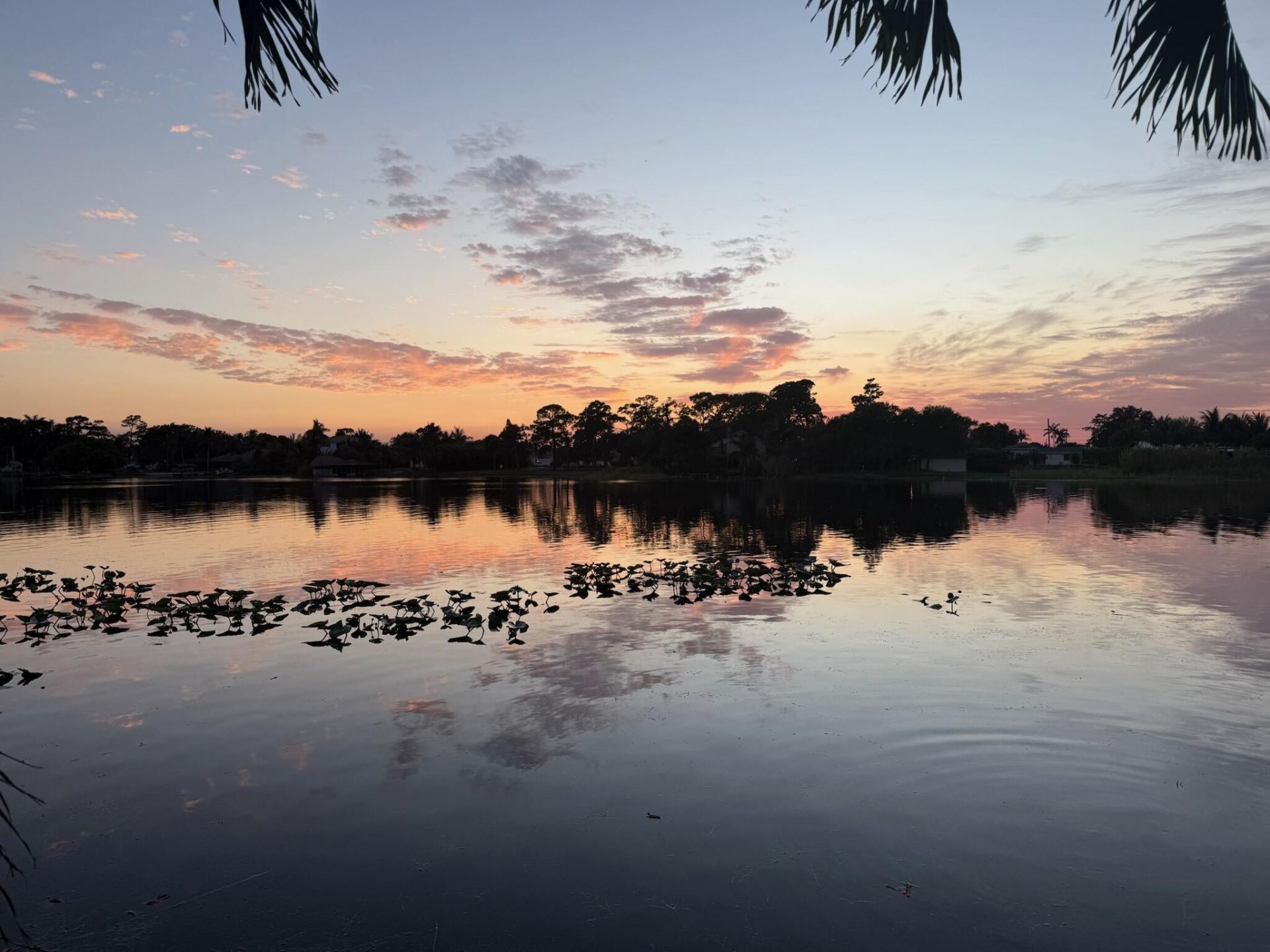 6647 Paul Mar Drive, Lantana, FL 33462 Photo