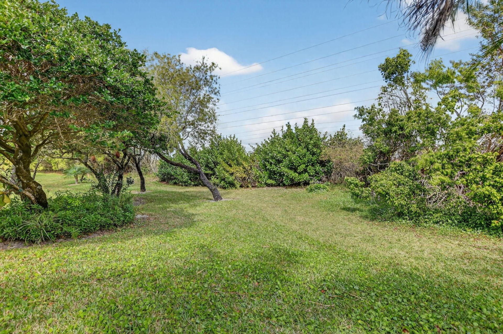 7203 Summer Tree Drive, Boynton Beach, FL 33437 Photo