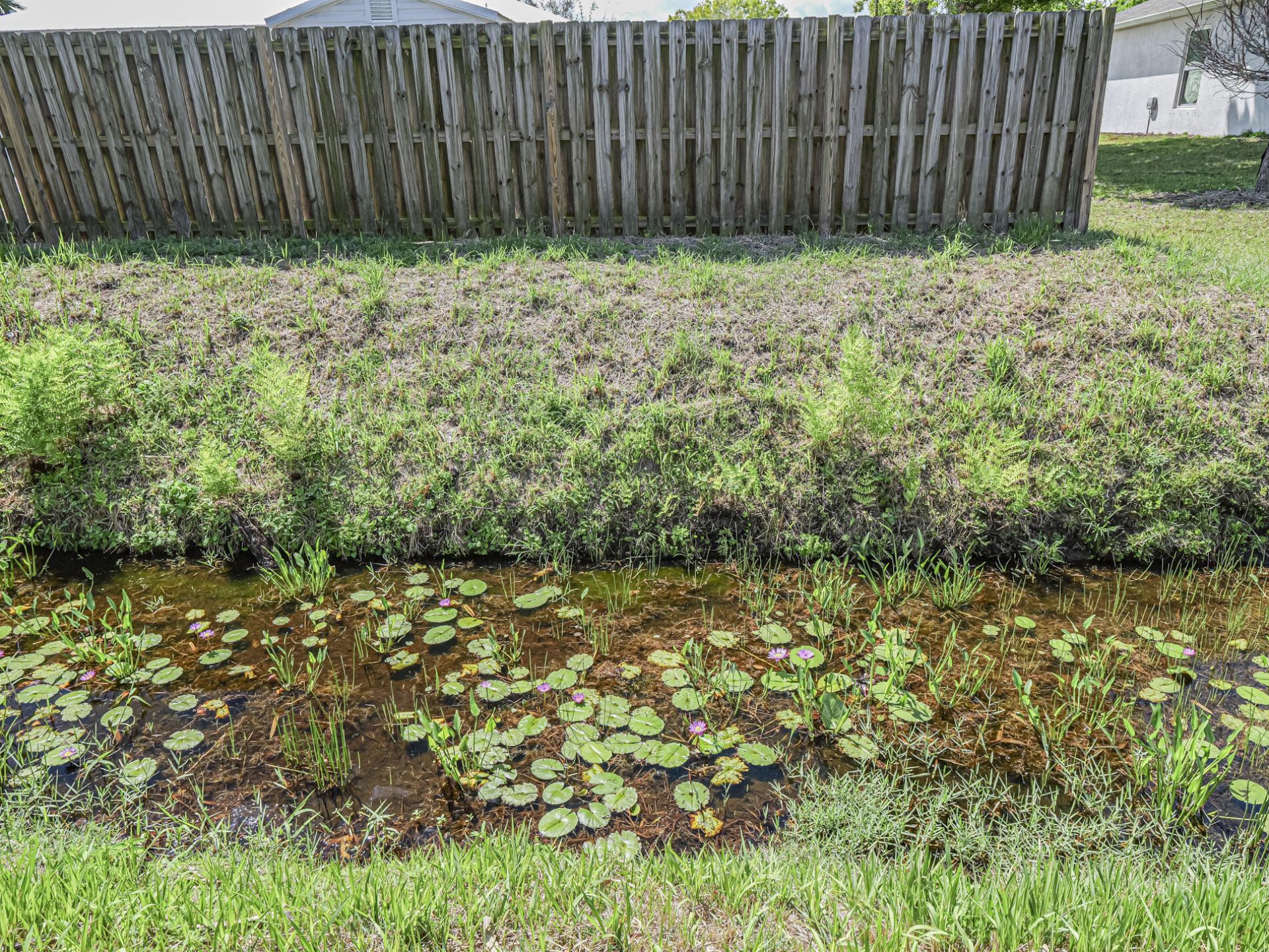 1031 Topsail Lane, Sebastian, FL 32958 Photo