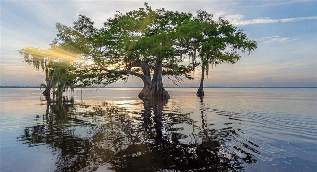 1031 Topsail Lane, Sebastian, FL 32958 Photo