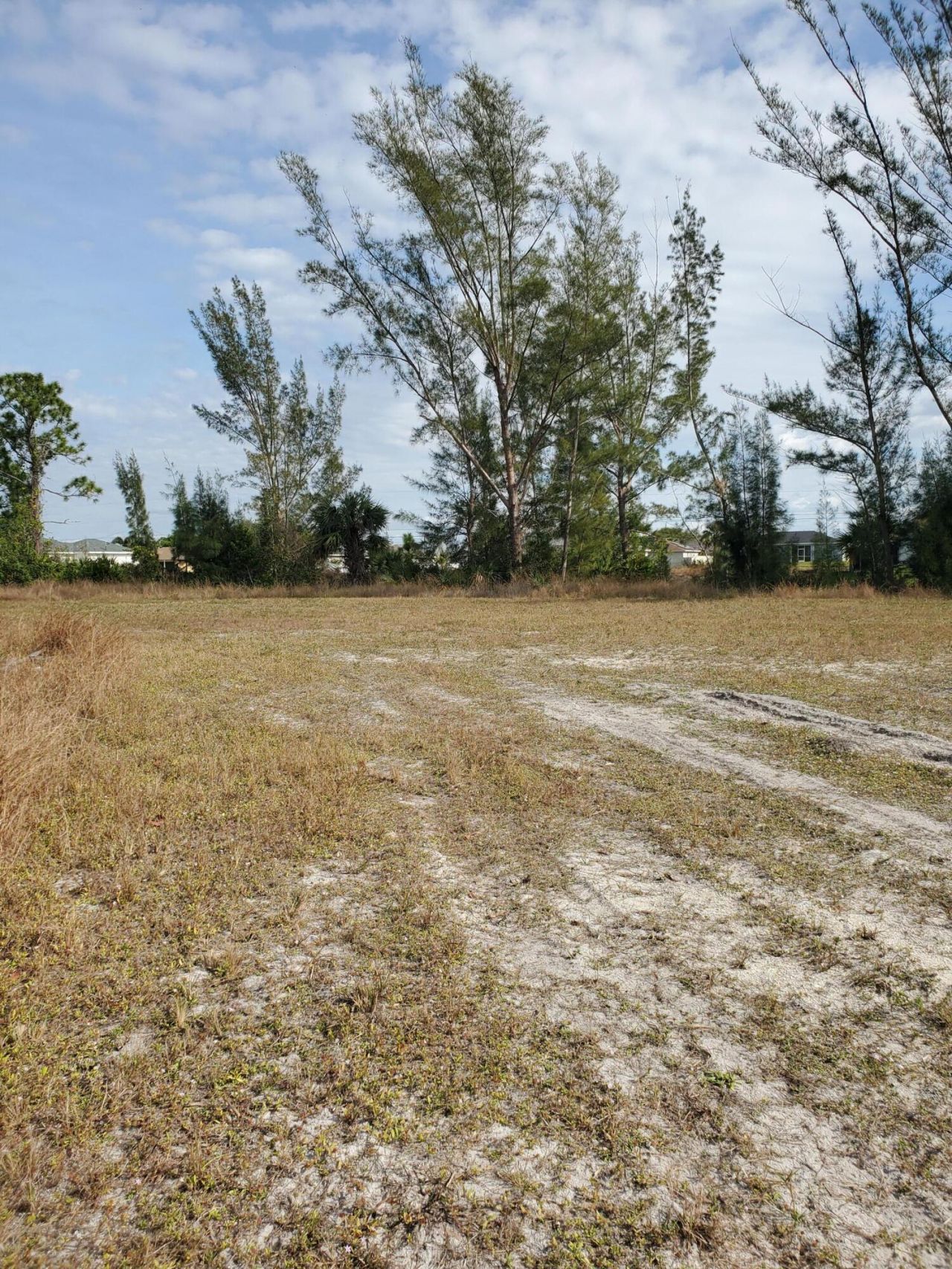 3905 NE 9th Avenue, Cape Coral, FL 33909 Photo