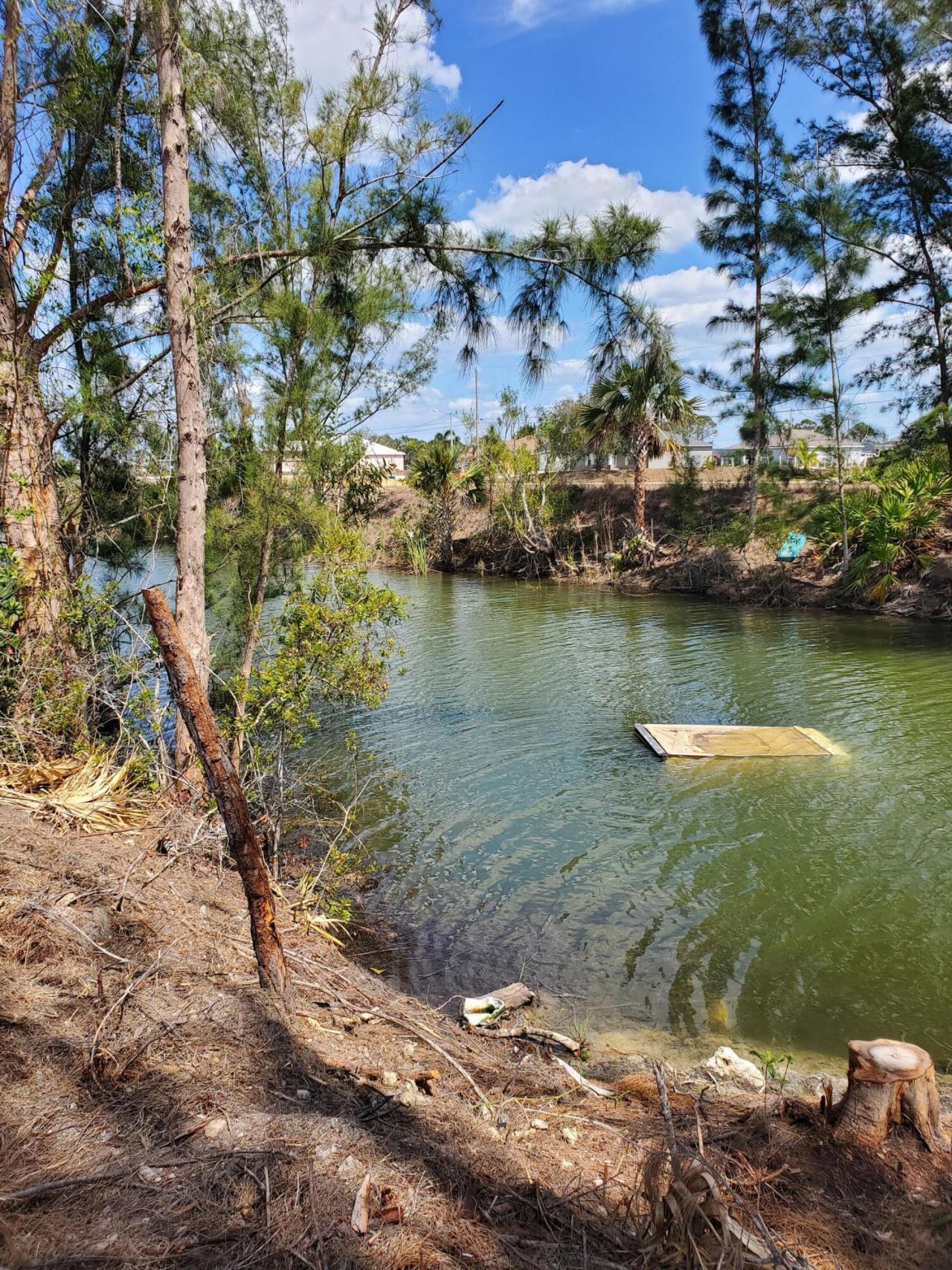 3905 NE 9th Avenue, Cape Coral, FL 33909 Photo