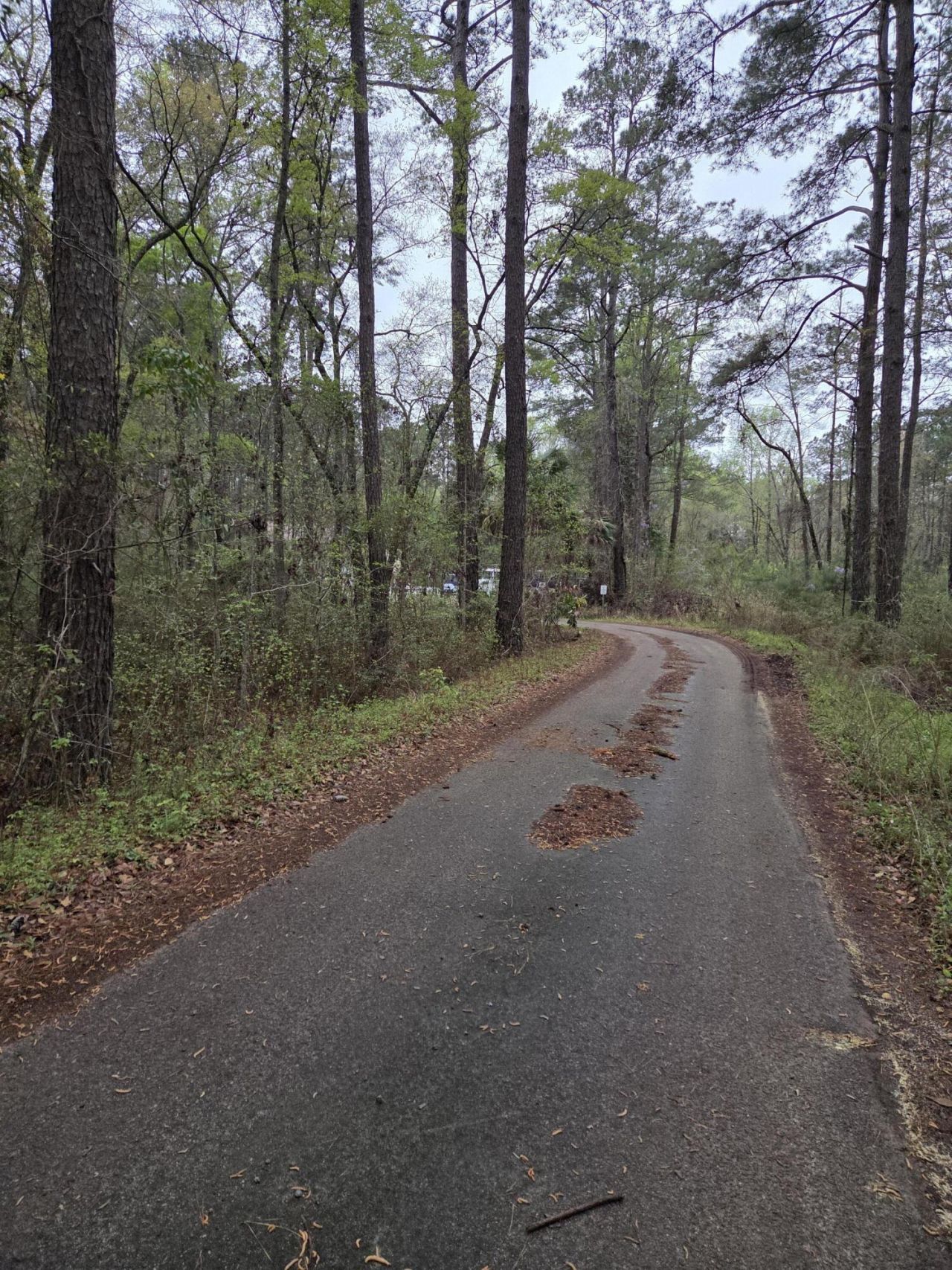 00 Orangeburg Road  Photo 7