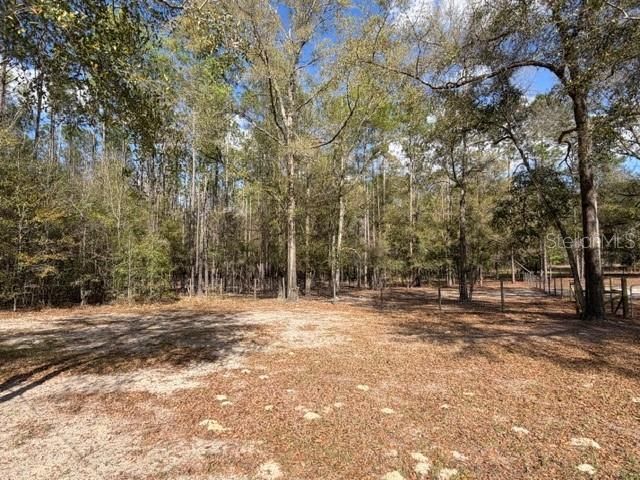 357 SW Conestoga Way, Fort White, FL 32038 Photo