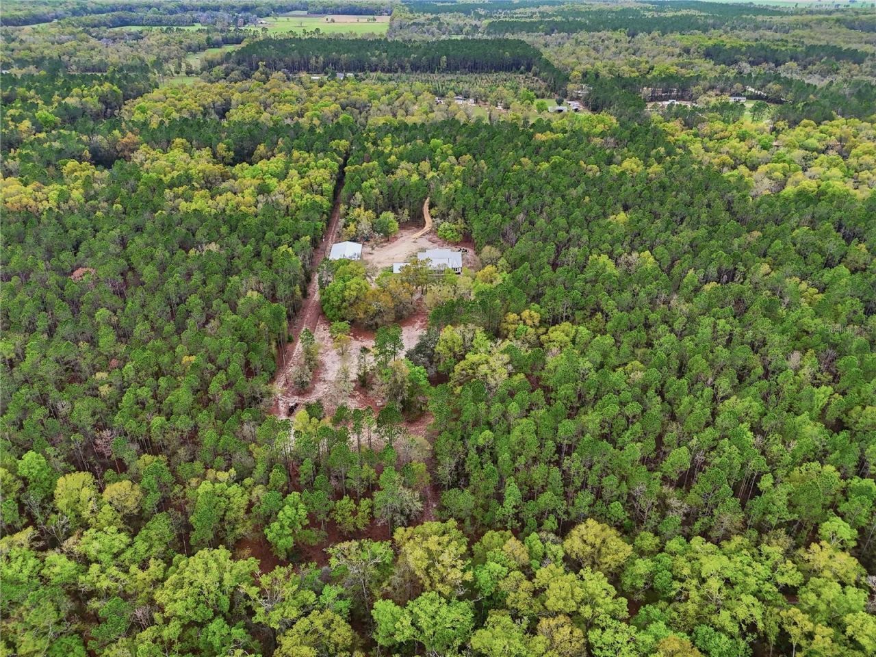 357 SW Conestoga Way, Fort White, FL 32038 Photo