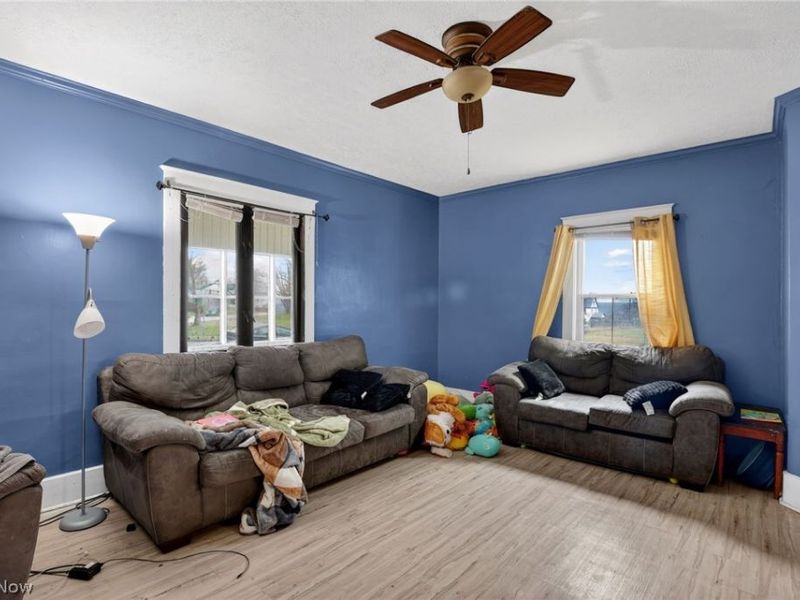 788 Caledonia Street, Youngstown, OH 44502 Photo 6