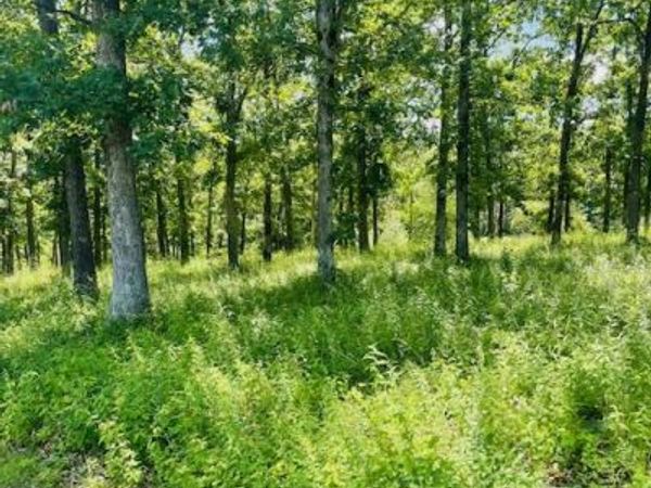 0 Krausetown Road , Owensville, MO 65066