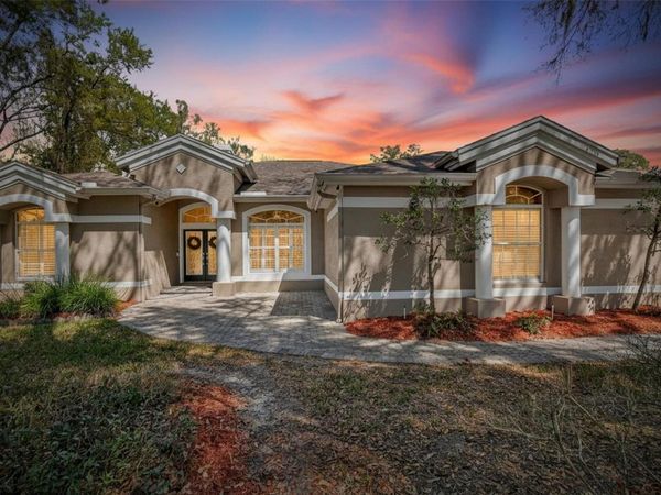 5838 AUDUBON MANOR BOULEVARD , LITHIA, FL 33547