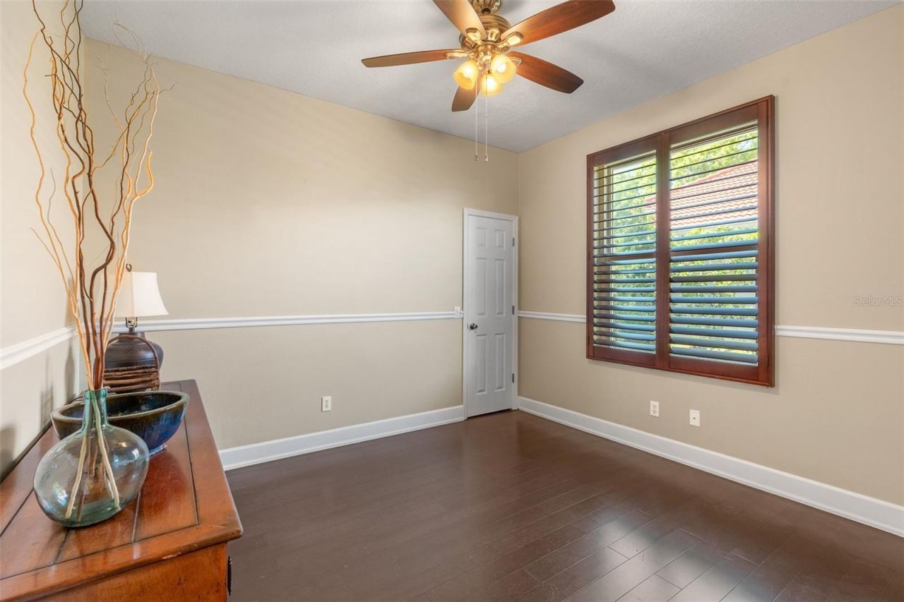 3897 Talah Drive, Palm Harbor, FL 34684 Photo