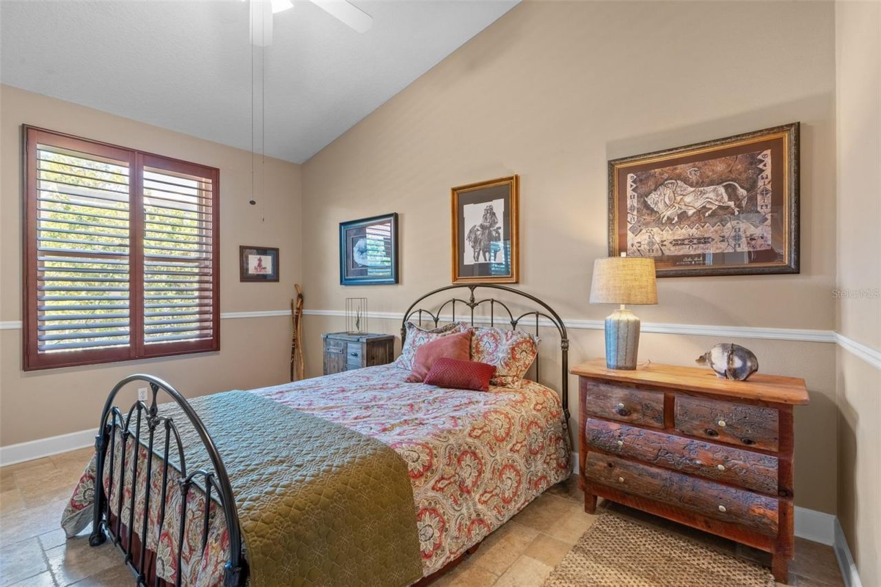 3897 Talah Drive, Palm Harbor, FL 34684 Photo