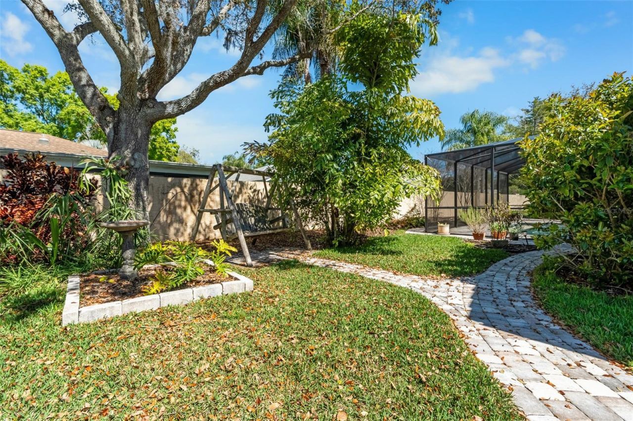 3897 Talah Drive, Palm Harbor, FL 34684 Photo