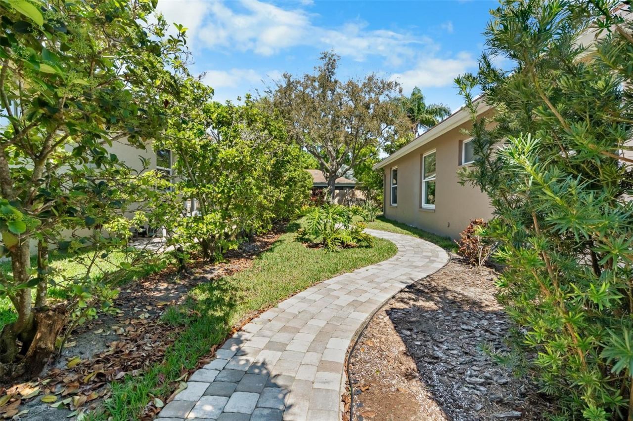 3897 Talah Drive, Palm Harbor, FL 34684 Photo