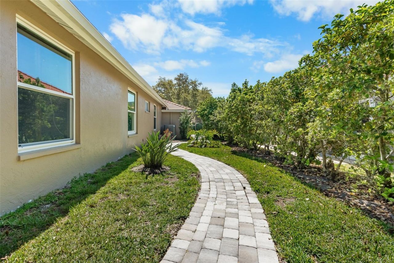 3897 Talah Drive, Palm Harbor, FL 34684 Photo