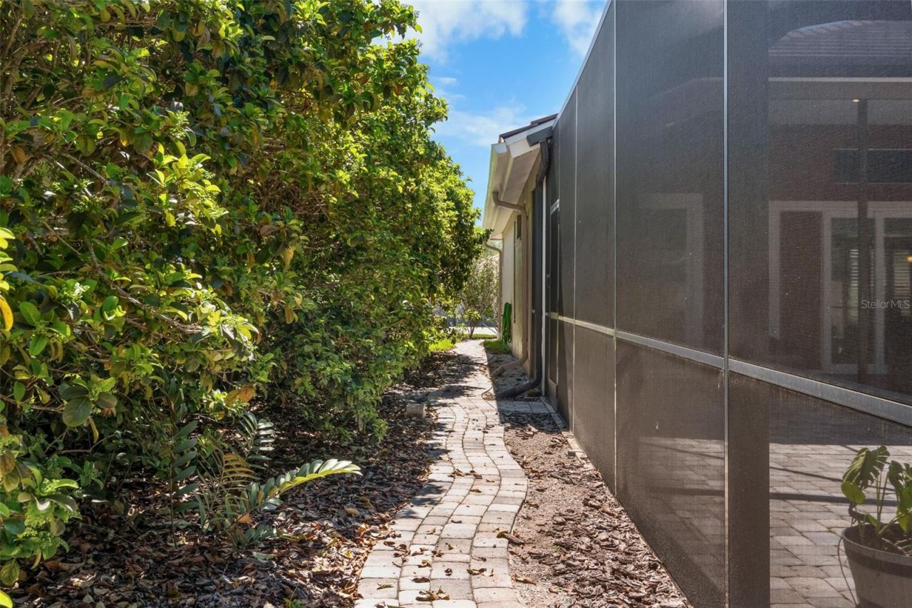 3897 Talah Drive, Palm Harbor, FL 34684 Photo