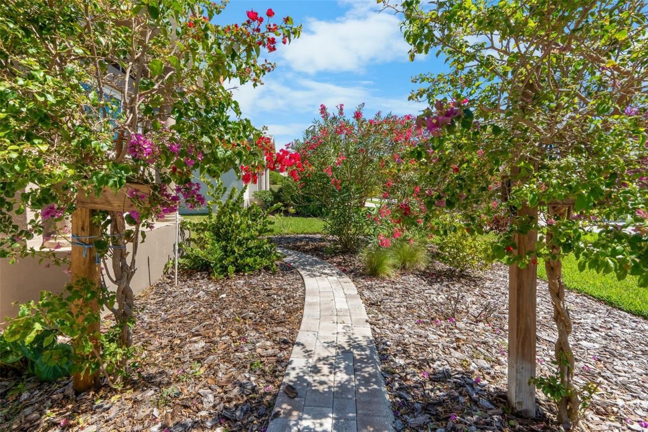 3897 Talah Drive, Palm Harbor, FL 34684 Photo