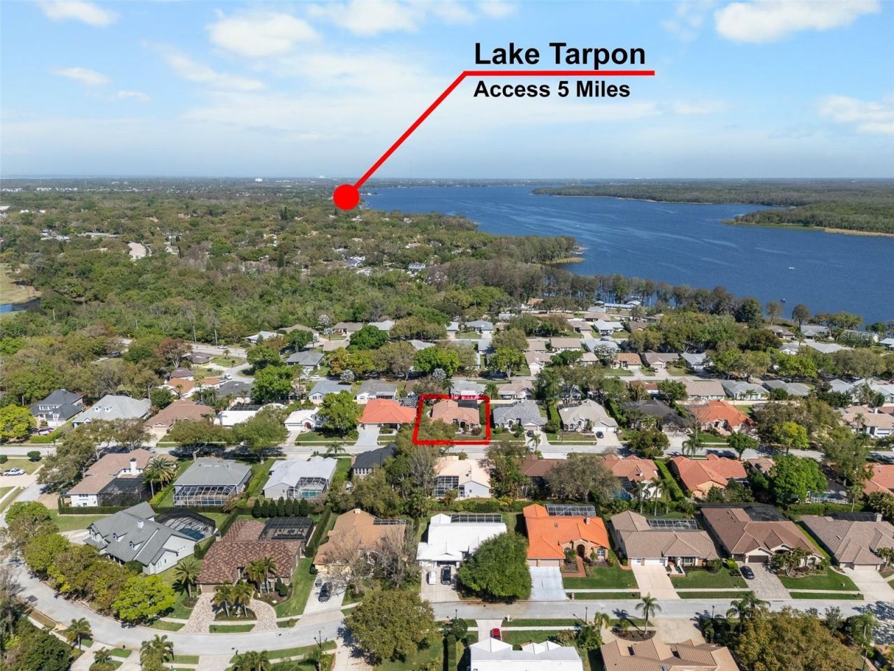 3897 Talah Drive, Palm Harbor, FL 34684 Photo