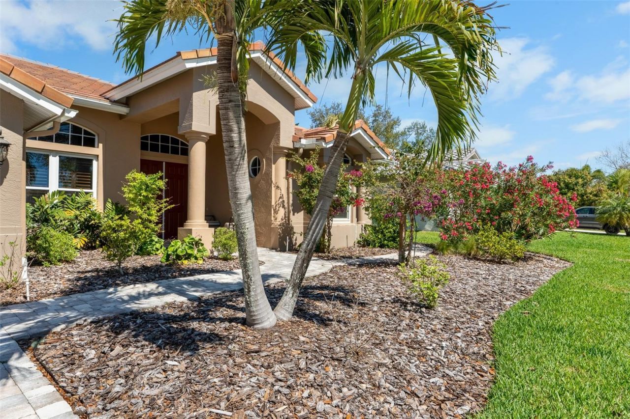 3897 Talah Drive, Palm Harbor, FL 34684 Photo