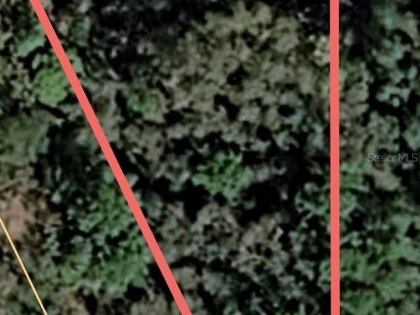 CASAURINA ROAD , LADY LAKE, FL 32159