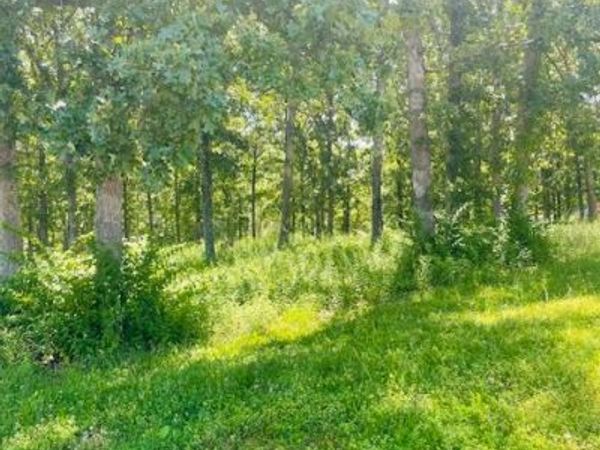 0 Krausetown Road , Owensville, MO 65066