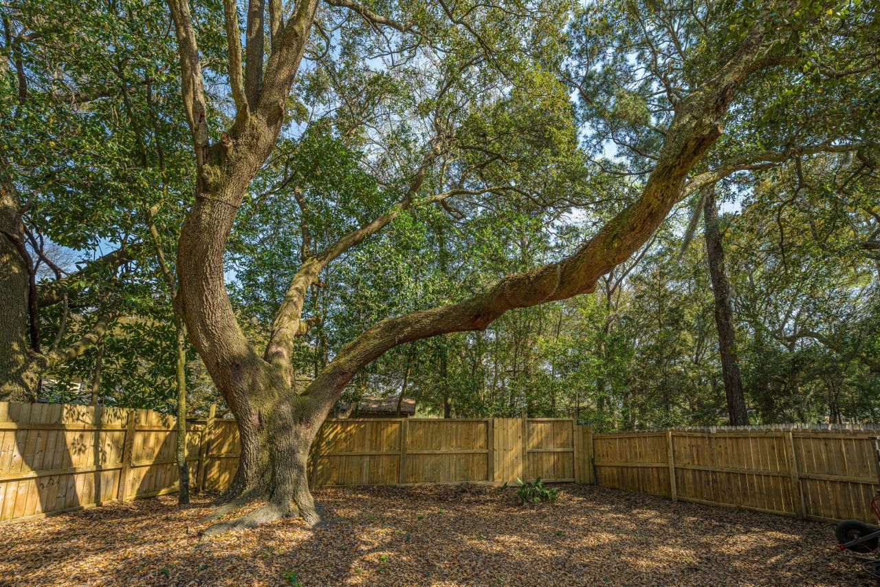 2357 Soling Court Photo 6