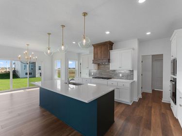 15044 Ardmullivan Lane, Rosemount, MN 55068