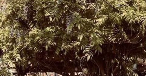 421 14th Street, Sparks, NV 89431 Photo