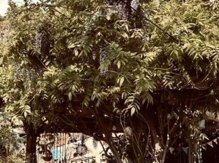 421 14th Street, Sparks, NV 89431 Photo