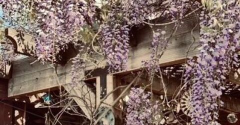 421 14th Street, Sparks, NV 89431 Photo