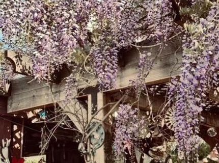 421 14th Street, Sparks, NV 89431 Photo