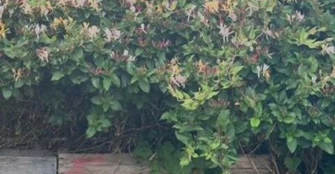 421 14th Street, Sparks, NV 89431 Photo