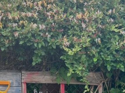 421 14th Street, Sparks, NV 89431 Photo