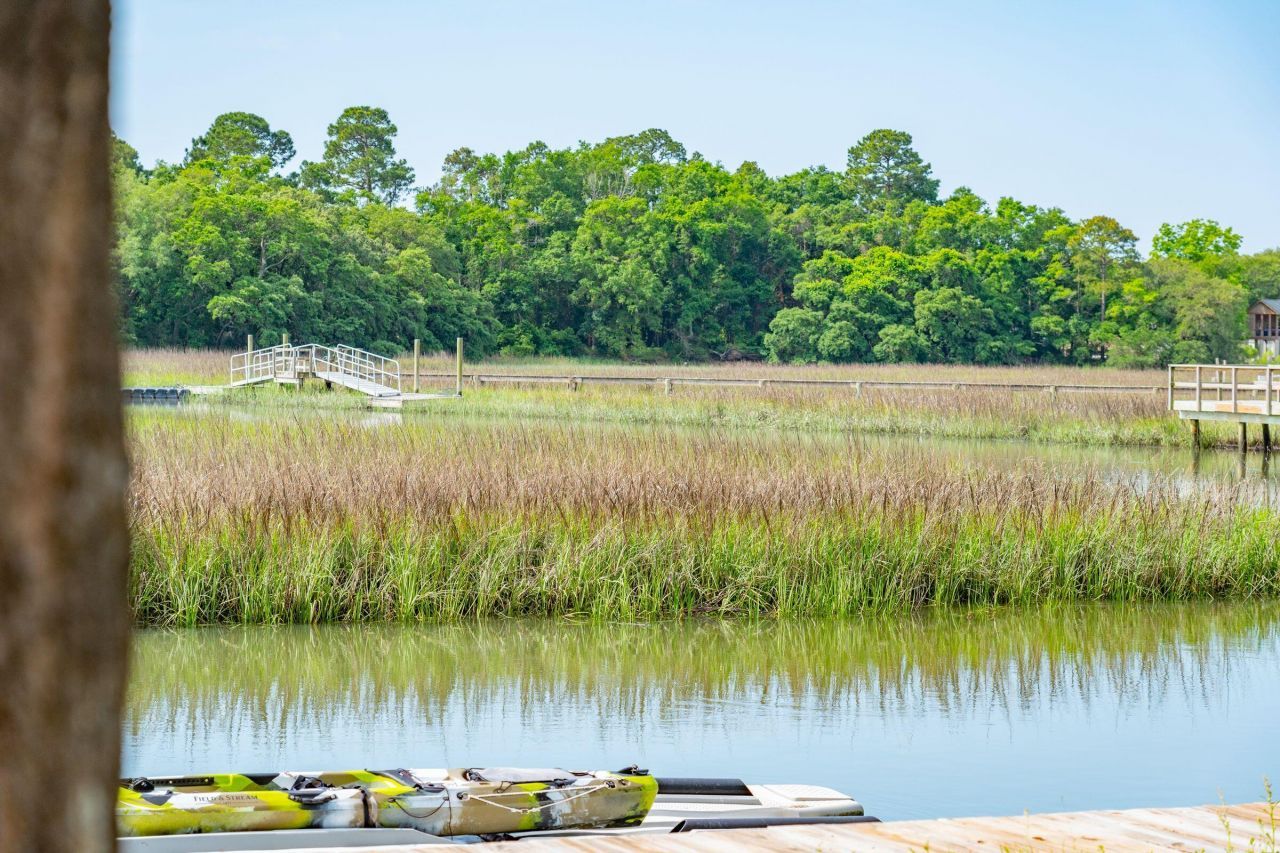 1047 Hills Plantation Drive Photo 65