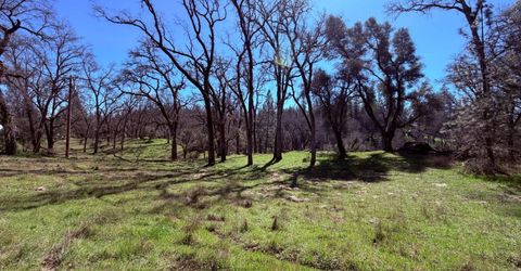 2901 Cedar Creek Rd, Fiddletown, CA 95629 Photo