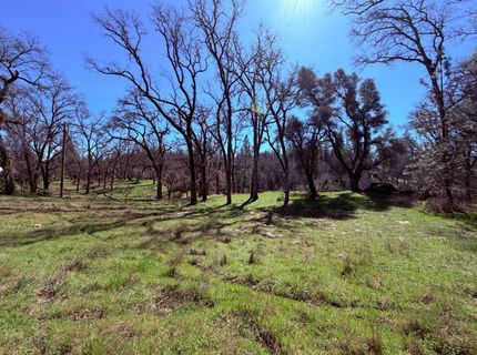2901 Cedar Creek Rd, Fiddletown, CA 95629 Photo