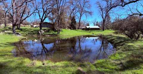 2901 Cedar Creek Rd, Fiddletown, CA 95629 Photo