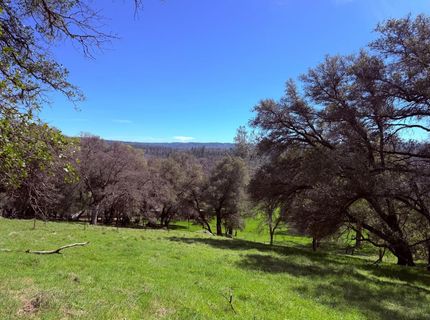 2901 Cedar Creek Rd, Fiddletown, CA 95629 Photo