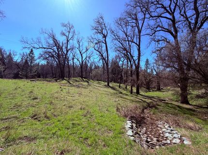 2901 Cedar Creek Rd, Fiddletown, CA 95629 Photo