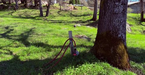2901 Cedar Creek Rd, Fiddletown, CA 95629 Photo