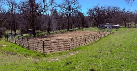 2901 Cedar Creek Rd, Fiddletown, CA 95629 Photo
