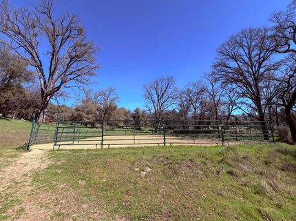 2901 Cedar Creek Rd, Fiddletown, CA 95629 Photo