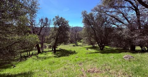 2901 Cedar Creek Rd, Fiddletown, CA 95629 Photo