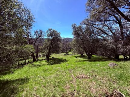 2901 Cedar Creek Rd, Fiddletown, CA 95629 Photo